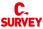 C Survey
